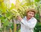Tonnen an Pestiziden, Kinderarbeit, Korruption: Welche Bananen wir lieber nicht kaufen sollten und warum