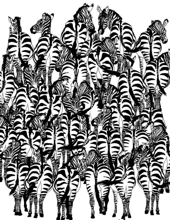 RÄTSEL des Tages - Findet Ihr den Dachs zwischen den Zebras?
