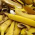 Hausgemachter dünger #1: Bananenschalen