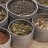 Wie wird grüner Tee am besten zubereitet?