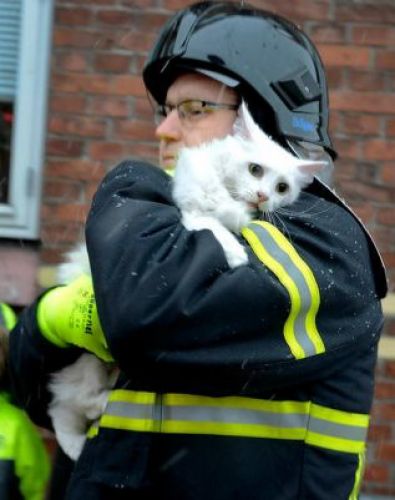 Im dänischen Aabenraa rettete dieser Feuerwehrmann nicht nur Menschen aus den Flammen