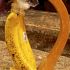 Wickelt Bananenstiele in Plastikfolie
