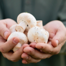 Sollte man Champignons schälen oder nicht schälen? (mit Rezepten)