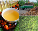 Palmöl: Warum ist das tropische Fett so gefährlich?