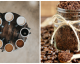 Kaffeesatz: nachhaltiger und sinnvoller Alleskönner in Küche, Haushalt und Garten