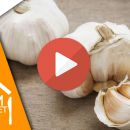 Knoblauch pellen wie ein Pro