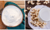Aber bitte mit Sahne - 3 Rezepte für selbstgemachte pflanzliche Sahne-Alternativen