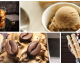 Eisgekühlter Genuss: Kaffee-Eiscreme ruckzuck selbstgemacht