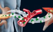 Die 4 Hormone, die unser Körpergewicht beeinflussen