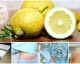 Wunderwaffe Zitrone - 10 Anwendungsmöglichkeiten für Haushalt & Gesundheit