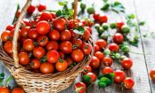 Tomaten von A bis Z: alles, was es über unseren Sommerliebling zu wissen gibt