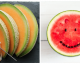 5 Gründe, warum wir mehr Melonen essen sollten