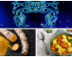 Astrologisch Essen: Ernährung für das Sternzeichen Skorpion