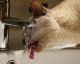 Die besten Tipps, um im Haushalt Wasser zu sparen