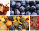 Lecker und umweltbewusst: Die saisonalen Lebensmittel im September