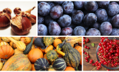 Lecker und umweltbewusst: Die saisonalen Lebensmittel im September