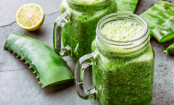 5 einfache Aloe Vera-Smoothies zum Abnehmen