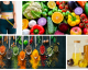 20 unschlagbare Tipps, um gesund abzunehmen