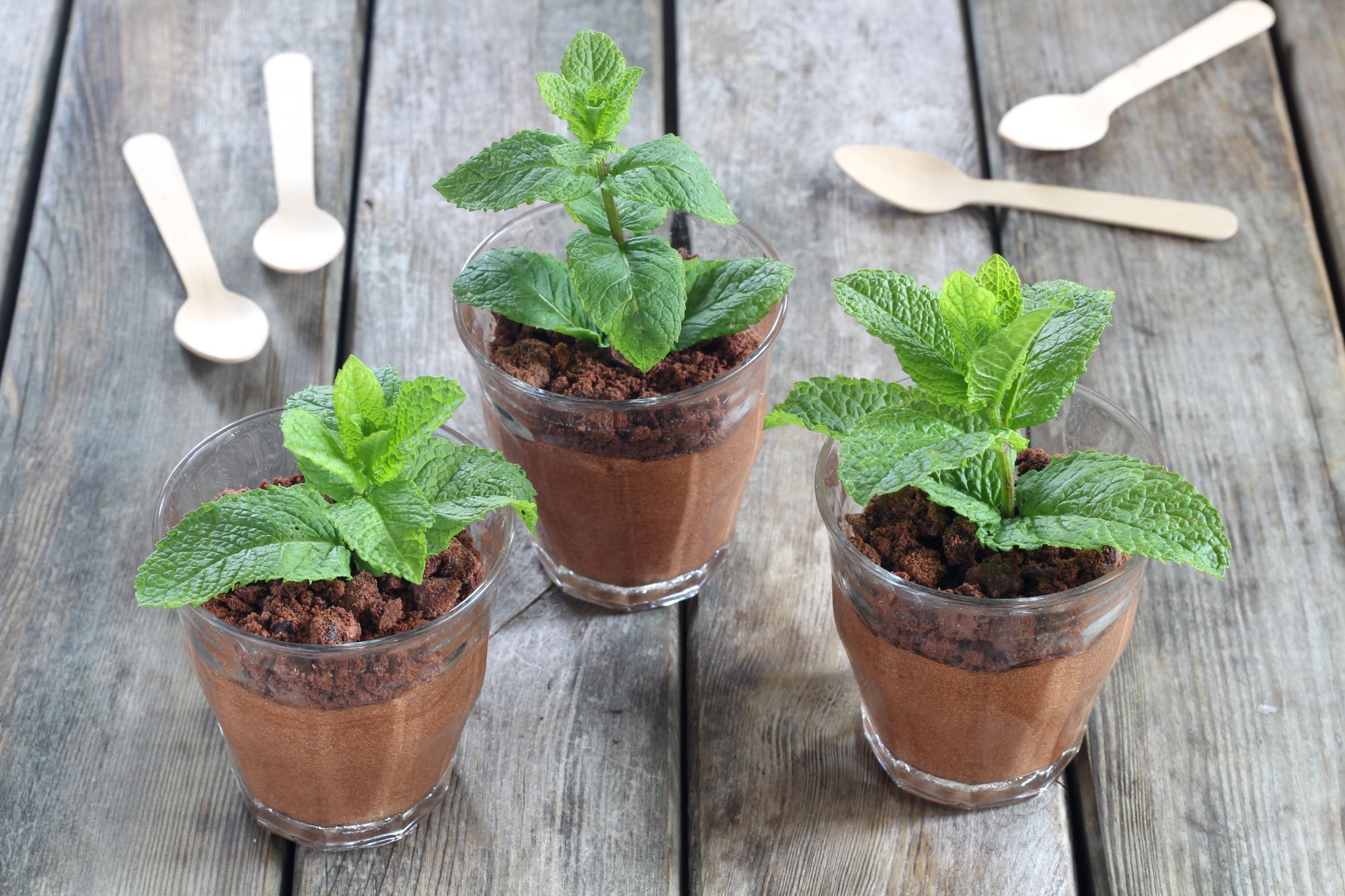 After Eight mal anders: Mousse au chocolat mit frischer Minze