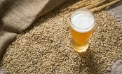 Bierhefe: Booster für Haut, Haar, Darm und Immunsystem