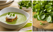 5 Tolle Rezepte mit Brunnenkresse