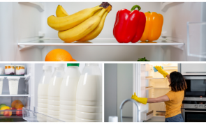 Vergiftung vermeiden: Kühlschränke als Bakterienbrutstätten