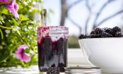 5 Marmeladenrezepte, die immer gelingen!