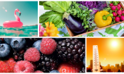 Der Sommermonat August: Das alles hat jetzt Saison!
