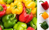 Rote vs. gelbe vs. grüne Paprika: Du denkst, dass du den Unterschied kennst?