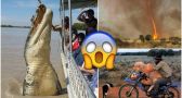 30 Bilder, die beweisen, dass AUSTRALIEN der verrückteste Ort auf ERDEN ist!