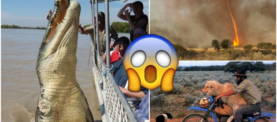 30 Bilder, die beweisen, dass AUSTRALIEN der verrückteste Ort auf ERDEN ist!