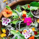 Rhabarber, Spargel und Erdbeeren: Diese Rezepte heißen den Frühling willkommen
