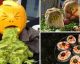 Halloween: 7 schaurig gute Rezepte zum Gruselfest