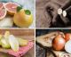 Top 10 im MÄRZ: Obst & Gemüse der Saison