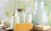 MILCH-MYTHEN aufgeklärt: Welche Milch ist gut für mich?