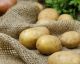 Abnehmen trotz Kohlenhydrate durch die Kartoffel-Diät?