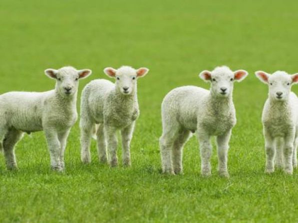 10 Shocking Things You Never Knew About: Condoms