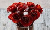 Diese besonderen BLUMEN sind was für wahre FLEISCHESSER