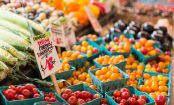 Warum GEMÜSE gerade richtig TEUER ist