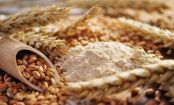 Getreidekunde - Hirse, Quinoa, Couscous, Bulgur