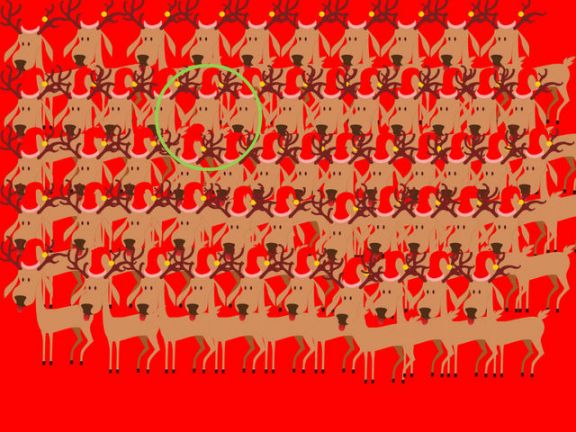 RÄTSEL des Tages - Findet Rudolf das kleine Rentier auf dem Bild!