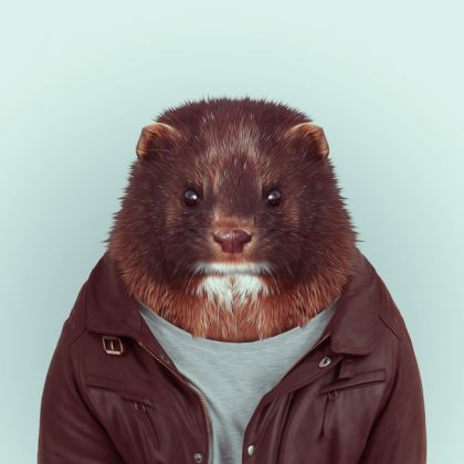 AUßERGEWÖHNLICHE VERWANDLUNG: Wenn TIERE menschlich werden!