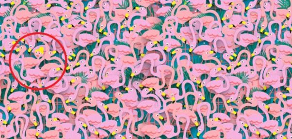 RÄTSEL des Tages: Wo ist die Ballerina?