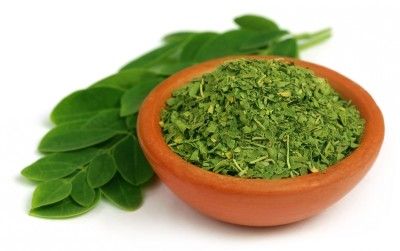 MORINGA: Die Wunderpflanze aus dem indischen Himalaya