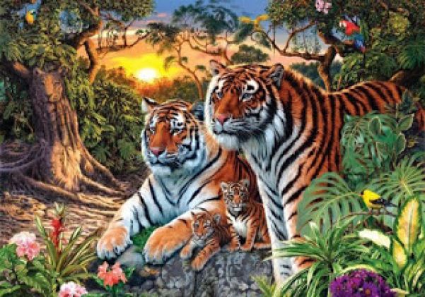 RÄTSEL DES TAGES: Wie viele Tiger sind auf diesem Bild?