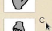 RÄTSEL DES TAGES: Welche Hand passt nicht in die Reihe??