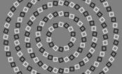 RÄTSEL des Tages - Wieviele Spiralen seht Ihr auf dem Bild?