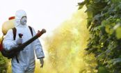 Dreckiges Dutzend - 12 Lebensmittel, die besonders stark mit Pestiziden belastet sind
