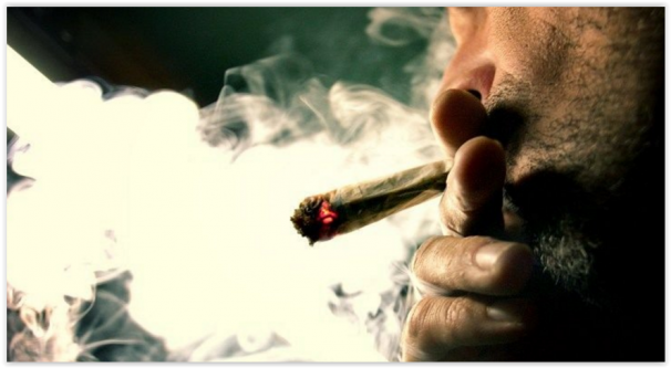 So wurde eine ganze Nachbarschaft UNFREIWILLIG HIGH! Hier die Geschichte: