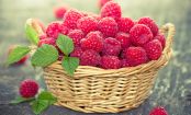DIESE Superfoods sollte jede Frau essen